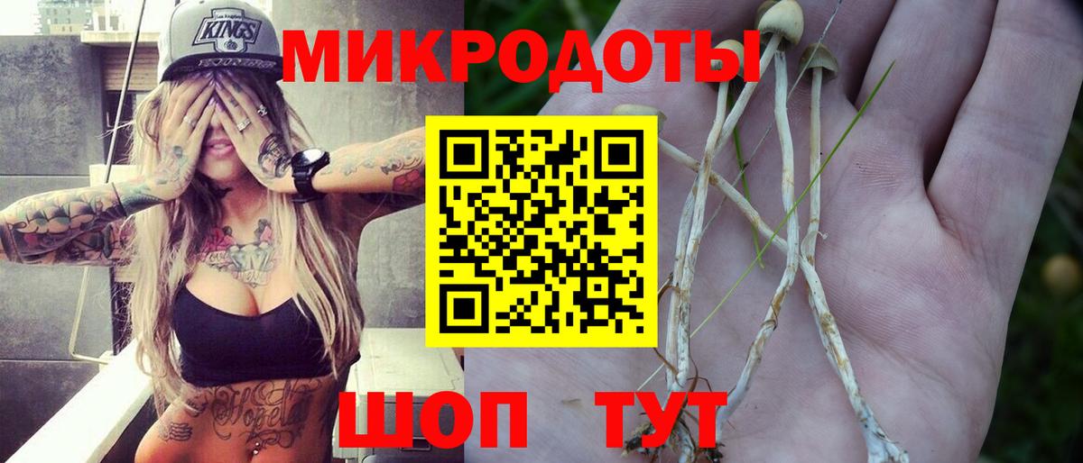 Псилоцибиновые грибы MAGIC MUSHROOMS  Вход с VPN  Псилоцибиновые грибы прущие грибы  Ковров 