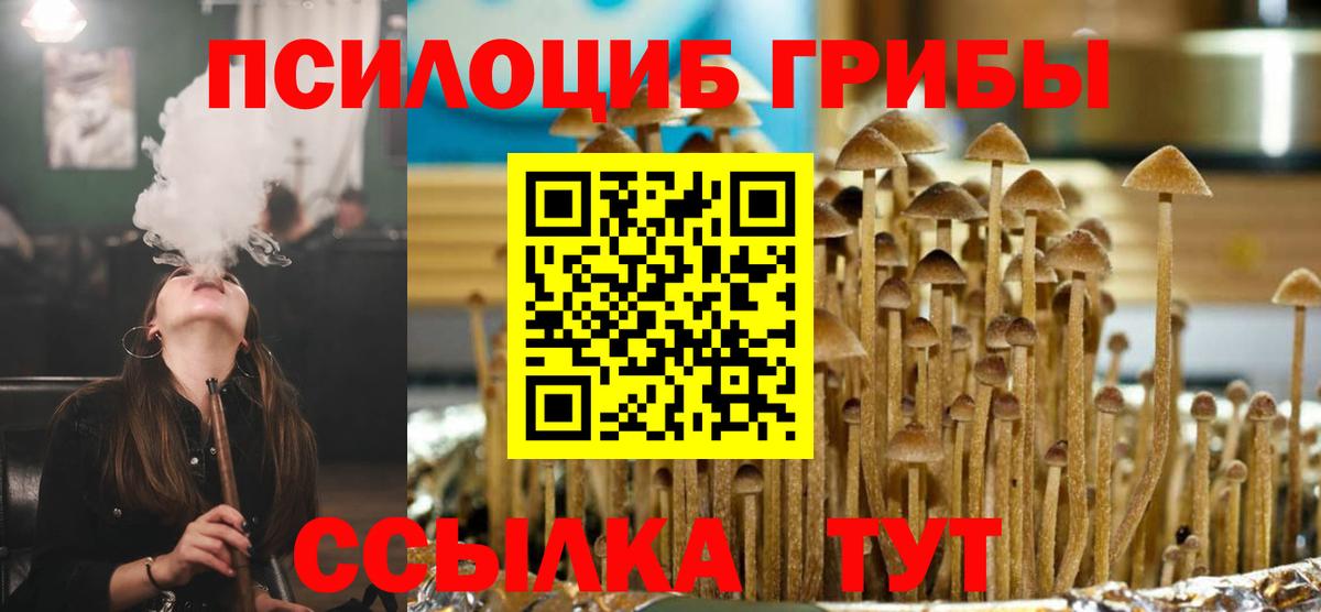 Псилоцибиновые грибы мухоморы Ковров