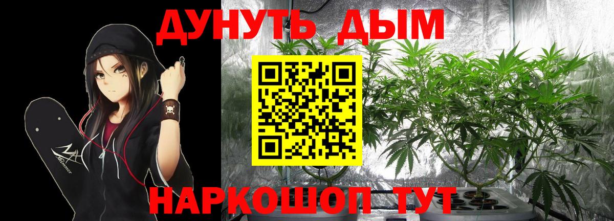 Ковров  Каннабис OG Kush  Бошки марихуана планчик  Марихуана тримм  Вход с VPN 